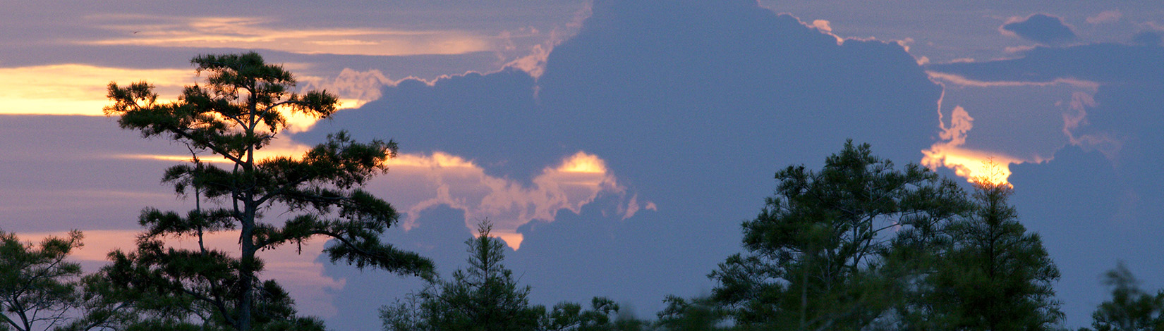 Natural Florida skyline with storm clouds in the distance